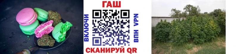 Купить  Каменногорск  Cannafood марихуана 