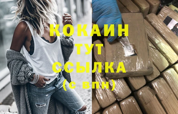 молекула духа Кинешма