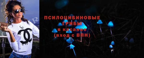 молекула духа Кинешма