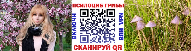 Купить где  Каменногорск  Галлюциногенные грибы Magic Shrooms 